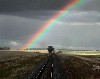 Blues Trains - 154-00e - wallpaper _Rainbow Road 2.jpg